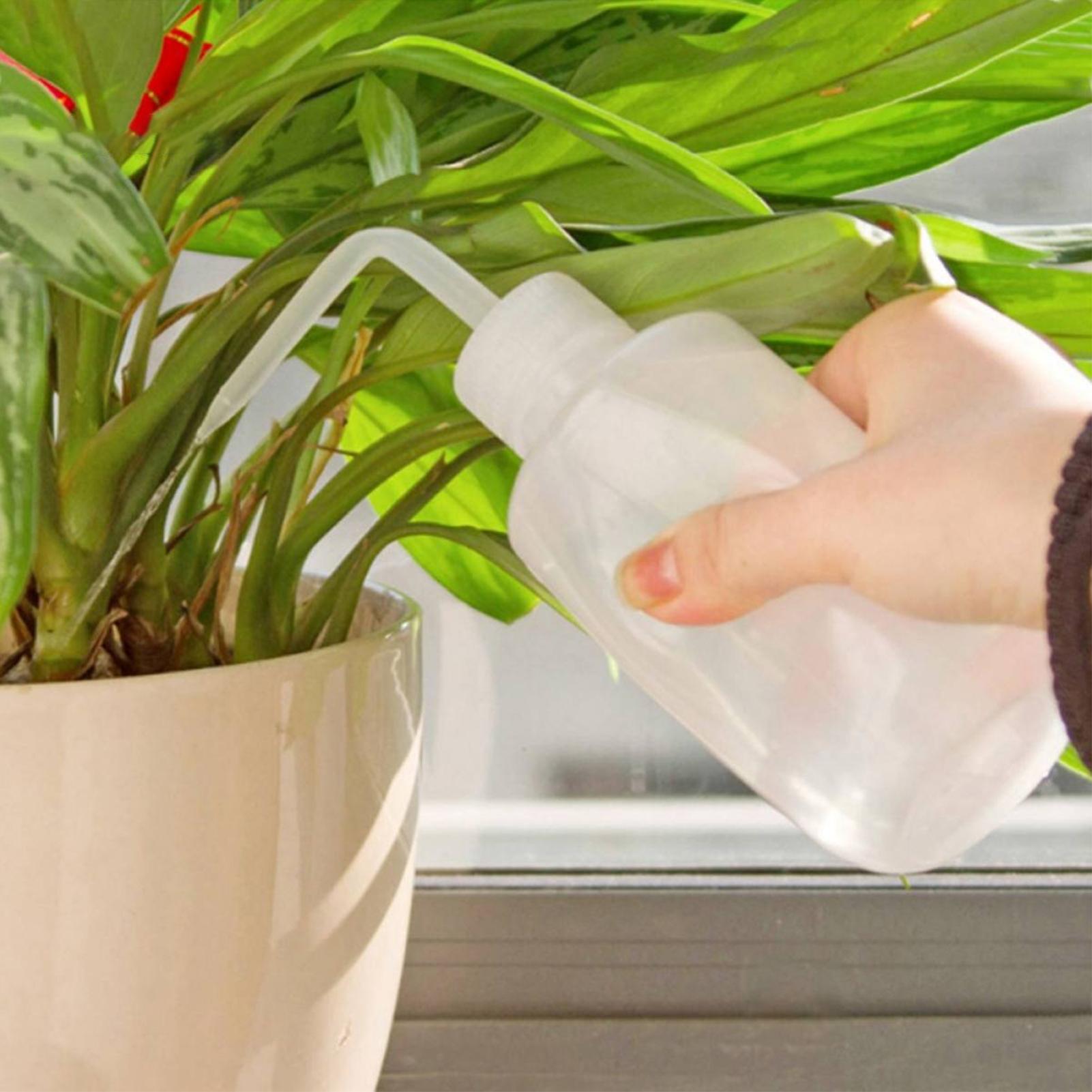 Squeeze Wash Bottle 250ml Safe - Food Storage And Safety ulasan dan harga