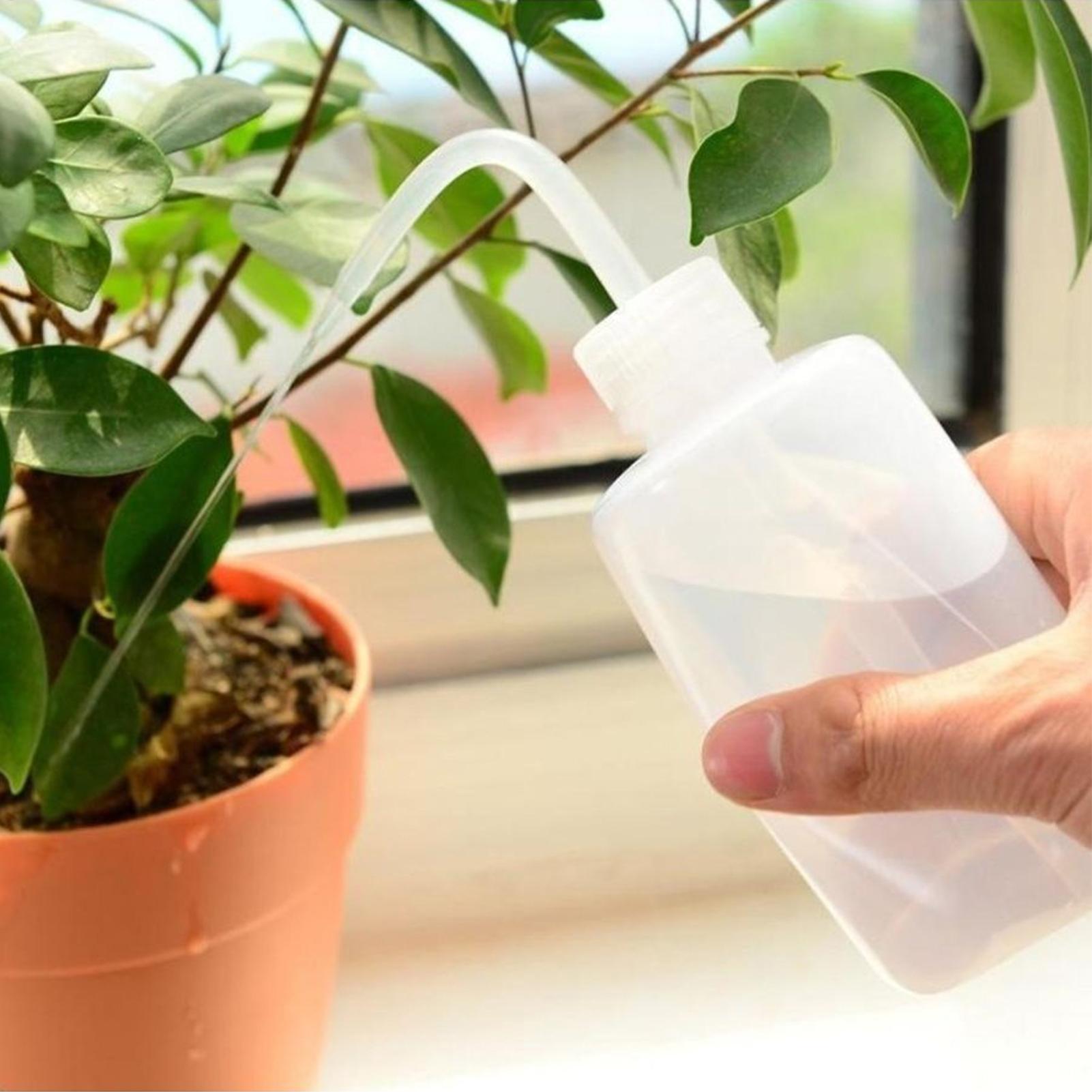 Squeeze Wash Bottle 250ml Safe - Food Storage And Safety ulasan dan harga